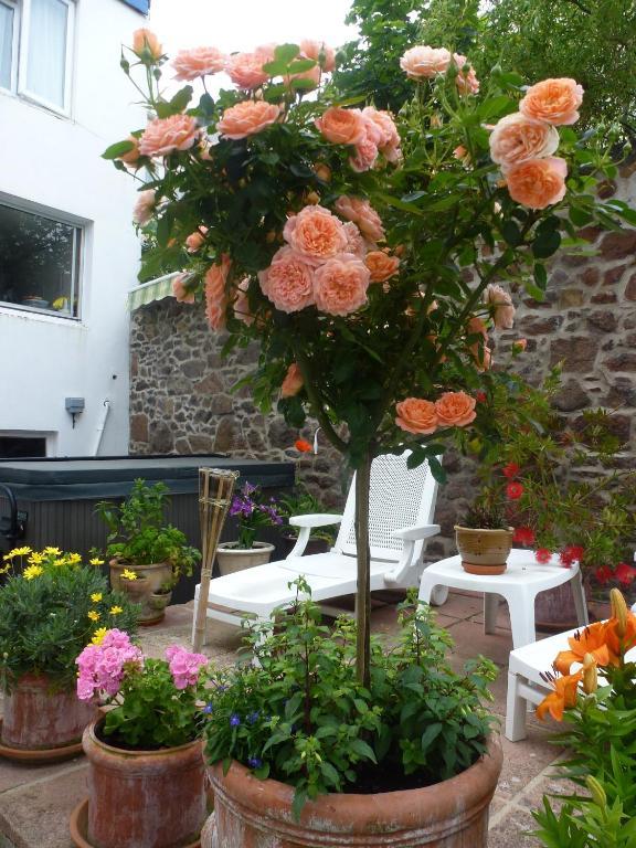 Bayview Guest House Saint Helier Jersey Esterno foto