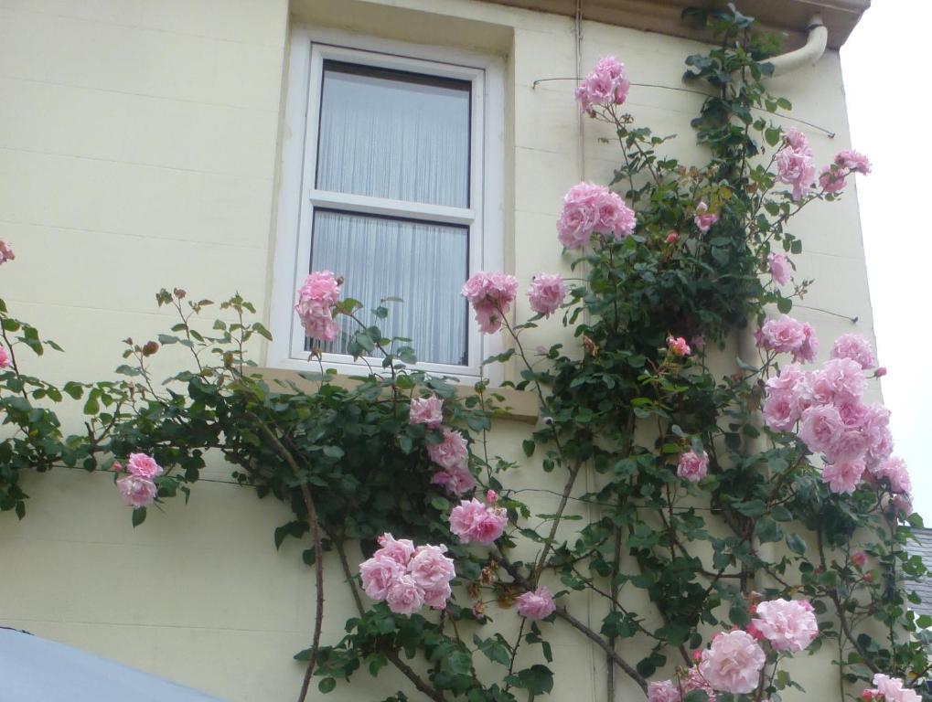 Bayview Guest House Saint Helier Jersey Esterno foto
